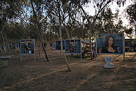 Bernhard Saalfeld - Nova (7v9)